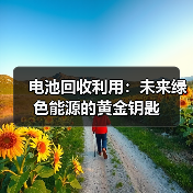 电池回收利用：未来绿色能源的黄金钥匙（图2）