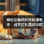 锂价企稳后的新能源车市：成本红利真能兑现为市场拐点？（图4）