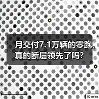 月交付7.1万辆的零跑，真的断层领先了吗？（图3）