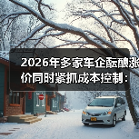 2026年多家车企酝酿涨价同时紧抓成本控制：别被忽悠了（图4）