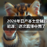 2026年日产本土定制新能源：这次真懂中国了？（图2）