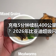 充电5分钟续航400公里？2026年比亚迪超级闪充到底多强（图1）