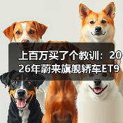 上百万买了个教训：2026年蔚来旗舰轿车ET9对标尊界S800抢占高端市场，我站哪边？（图4）