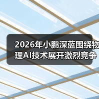 2026年小鹏深蓝围绕物理AI技术展开激烈竞争角逐，谁能笑到最后？（图4）