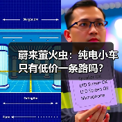 蔚来萤火虫：纯电小车只有低价一条路吗？（图1）
