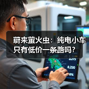 蔚来萤火虫：纯电小车只有低价一条路吗？（图2）