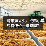 蔚来萤火虫：纯电小车只有低价一条路吗？（图4）