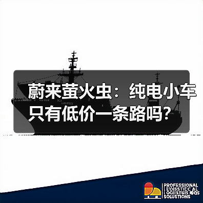 蔚来萤火虫：纯电小车只有低价一条路吗？（图3）