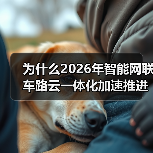 为什么2026年智能网联车路云一体化加速推进基础设施建设？我跟项目踩过坑（图3）