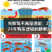 当智驾不再是选配：2026年购车逻辑的静默反转（图1）