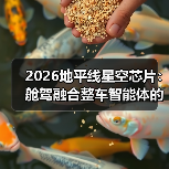 2026地平线星空芯片：舱驾融合整车智能体的三大真相（图1）