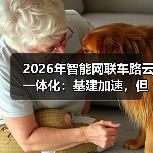 2026年智能网联车路云一体化：基建加速，但车在哪里？（图1）