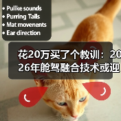 花20万买了个教训：2026年舱驾融合技术或迎来爆发增长元年（图4）