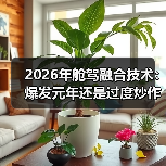 2026年舱驾融合技术：爆发元年还是过度炒作？（图4）