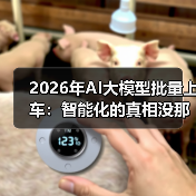 2026年AI大模型批量上车：智能化的真相没那么简单（图1）