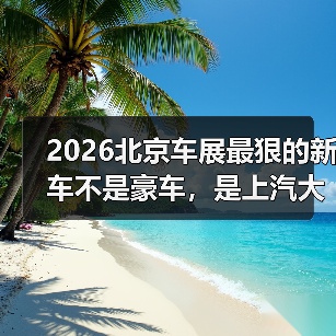 2026北京车展最狠的新车不是豪车，是上汽大众ID.ERA9X（图3）