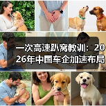 一次高速趴窝教训：2026年中国车企加速布局智能生态和快充补能网络系统提升体验（图2）