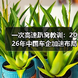一次高速趴窝教训：2026年中国车企加速布局智能生态和快充补能网络系统提升体验（图1）