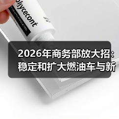 2026年商务部放大招：稳定和扩大燃油车与新能源车消费，普通人怎么跟？（图2）