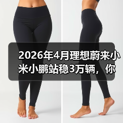 2026年4月理想蔚来小米小鹏站稳3万辆，你还觉得市场饱和了？（图3）