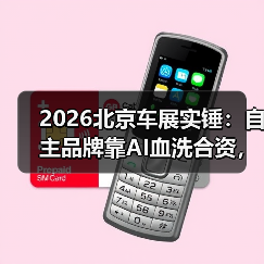 2026北京车展实锤：自主品牌靠AI血洗合资，你信吗？（图2）