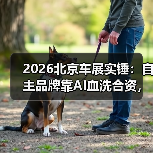 2026北京车展实锤：自主品牌靠AI血洗合资，你信吗？（图4）