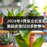 2026年4月车企北京车展前密集投放多款新车，背后有什么门道？（图1）