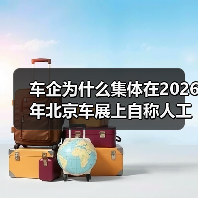 车企为什么集体在2026年北京车展上自称人工智能公司？（图4）