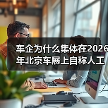 车企为什么集体在2026年北京车展上自称人工智能公司？（图3）