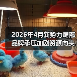 2026年4月新势力尾部品牌承压加剧资源向头部集中（图1）