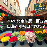 2026北京车展：百万辆出海？别被口号忽悠了（图1）