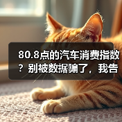 80.8点的汽车消费指数？别被数据骗了，我告诉你真实情况（图2）