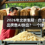 2026年北京车展：自主品牌靠AI翻盘？一个理性观察（图2）