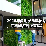 2026年多地发购车补贴，你真能占到便宜吗？（图1）