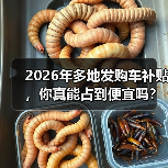 2026年多地发购车补贴，你真能占到便宜吗？（图3）