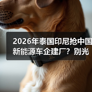 2026年泰国印尼抢中国新能源车企建厂?别光看热闹(图1) 2026年泰国印尼抢中国新能源车企建厂?别光看热闹(图1)