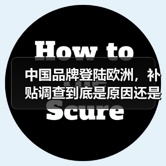 中国品牌登陆欧洲,补贴调查到底是原因还是借口?(图2) 中国品牌登陆欧洲,补贴调查到底是原因还是借口?(图2)