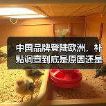 中国品牌登陆欧洲,补贴调查到底是原因还是借口?(图4) 中国品牌登陆欧洲,补贴调查到底是原因还是借口?(图4)