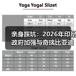 亲身踩坑:2026年印尼政府加强与奇瑞比亚迪合作推进当地设厂投产(图2) 亲身踩坑:2026年印尼政府加强与奇瑞比亚迪合作推进当地设厂投产(图2)