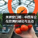 关税窗口期:中国车企在欧洲的被动与主动(图4) 关税窗口期:中国车企在欧洲的被动与主动(图4)