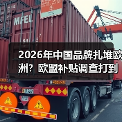 2026年中国品牌扎堆欧洲?欧盟补贴调查打到你脸疼(图4) 2026年中国品牌扎堆欧洲?欧盟补贴调查打到你脸疼(图4)