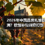 2026年中国品牌扎堆欧洲?欧盟补贴调查打到你脸疼(图2) 2026年中国品牌扎堆欧洲?欧盟补贴调查打到你脸疼(图2)