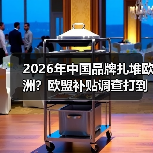 2026年中国品牌扎堆欧洲?欧盟补贴调查打到你脸疼(图3) 2026年中国品牌扎堆欧洲?欧盟补贴调查打到你脸疼(图3)