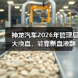 神龙汽车2026年管理层大换血,能靠新血液翻盘吗?(图2) 神龙汽车2026年管理层大换血,能靠新血液翻盘吗?(图2)