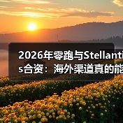 2026年零跑与Stellantis合资：海外渠道真的能破局吗？（图4）