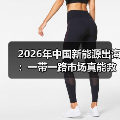 2026年中国新能源出海:一带一路市场真能救你?(图4) 2026年中国新能源出海:一带一路市场真能救你?(图4)