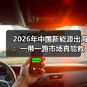 2026年中国新能源出海:一带一路市场真能救你?(图3) 2026年中国新能源出海:一带一路市场真能救你?(图3)