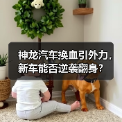神龙汽车换血引外力,新车能否逆袭翻身?(图4) 神龙汽车换血引外力,新车能否逆袭翻身?(图4)