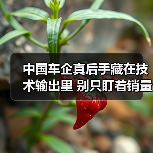 中国车企真后手藏在技术输出里 别只盯着销量（图3）