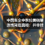 中国车企中东拉美销量激增背后真相：并非技术碾压？（图3）